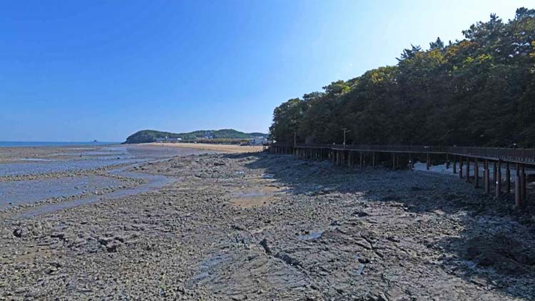 십리포 해수욕장